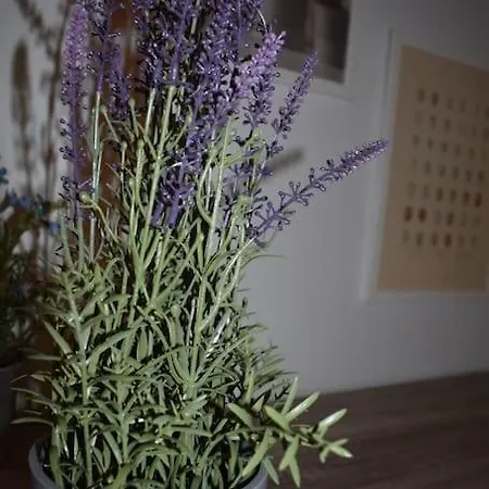 Villa House At Sunset