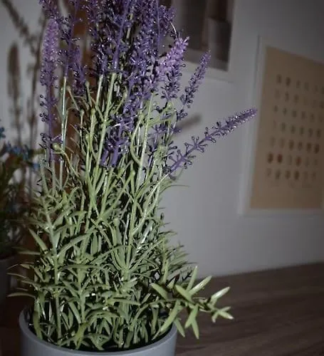 Βίλα Casa Del Mar